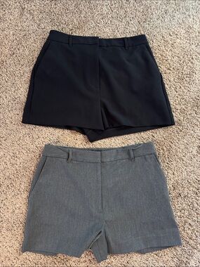 Express Women's Classic High-Rise Tailored Shorts - Black & Gray